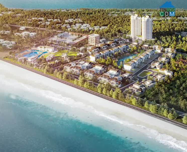 Nằm trên khu đồi dương xanh tươi hơn 20 năm tuổi, toàn bộ các biệt thự của Zenna Villas đều có tầm nhìn hướng biển và rừng dương