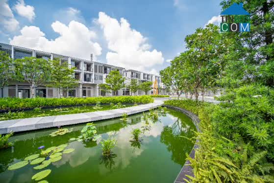 Nhu cầu nhà ở thị trường Tân Uyên đang tập trung vào các sản phẩm nhà phố cao cấp chuyên biệt dành cho giới chuyên gia.