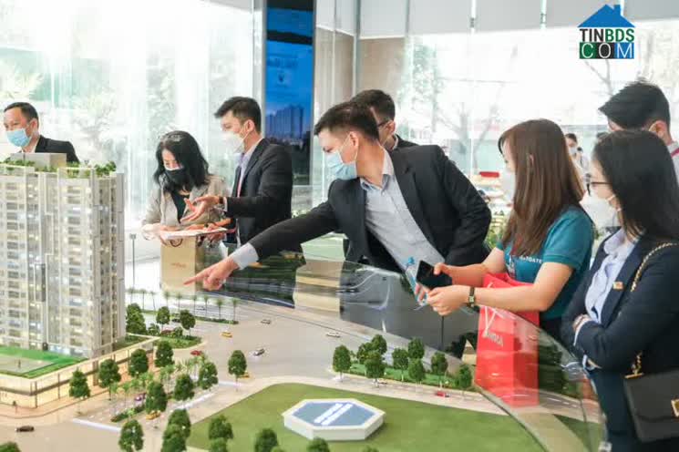 Ảnh Đà tăng giá bất động sản sẽ chậm lại