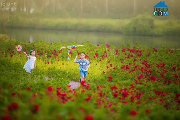 Trẻ em thả diều trong khu vườn rực rỡ sắc hoa.