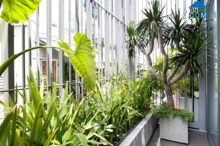 Ngay sau hệ lam sắt là các khu vườn nhỏ trồng các loại cỏ cây hoa lá đầy sức sống. Những không gian sân vườn này giúp giảm thiểu được tiếng ồn ào từ hè phố, và tăng cường tính riêng tư, ấm cúng cho không gian bên trong.