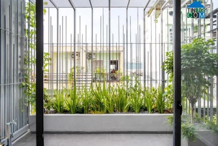 Hơn thế nữa, chúng còn là những không gian xanh quan trọng, giúp con người gần gũi với thiên nhiên hơn mỗi ngày, đồng thời đóng góp tích cực cho cảnh quan đường phố.