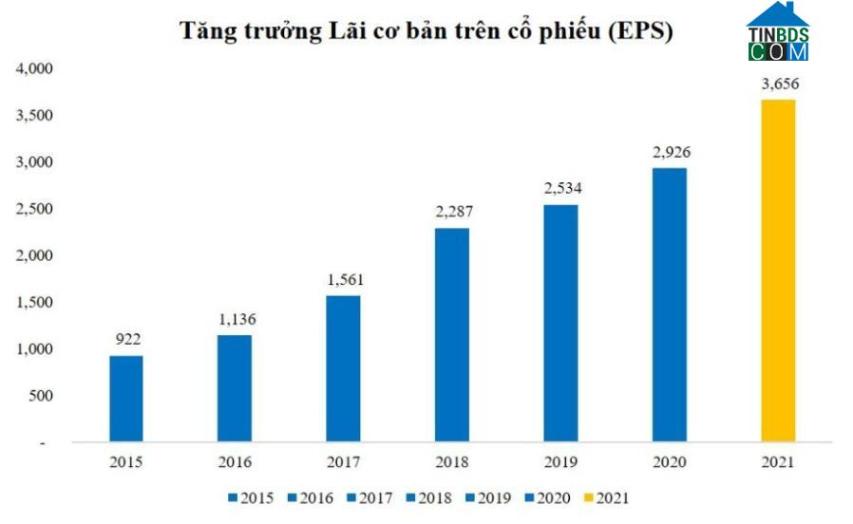 Ảnh Phát Đạt và những lợi ích dành cho cổ đông dài hạn