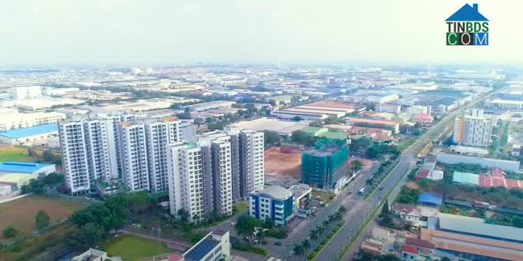 Ảnh Thông tin thị trường bất động sản Bình Dương