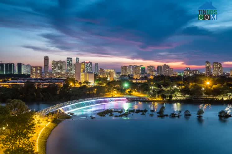 Cầu Ánh Sao và hồ Bán Nguyệt cách Viva Plaza chỉ hơn 500m.