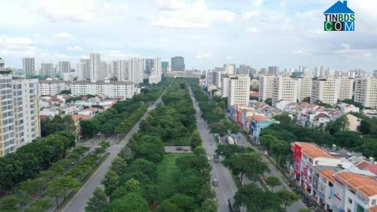 Mảng xanh mát mắt xung quanh khu căn hộ Viva Plaza.