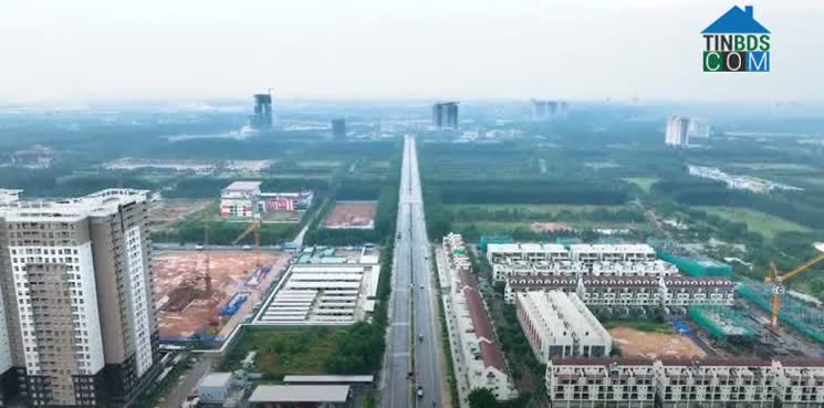 Ảnh Thông tin thị trường bất động sản Bình Dương