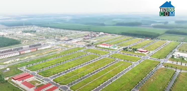 Ảnh Thông tin thị trường bất động sản Bình Dương