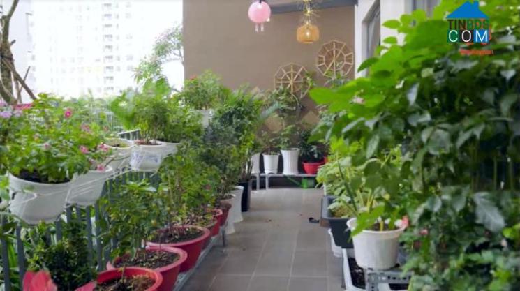 Ảnh Dự án Akari City giai đoạn 2: Căn hộ mới ra mắt tại trung tâm quận Bình Tân, giá từ 45 triệu/m2