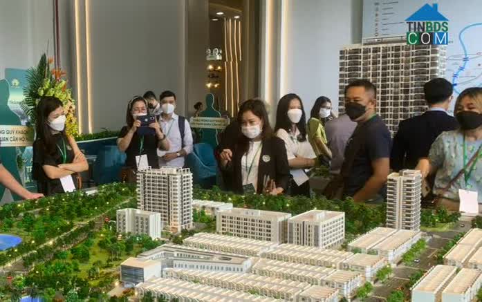 Ảnh Giá Bán Chung Cư TP.HCM Đi Ngang, Mức Độ Quan Tâm Giảm