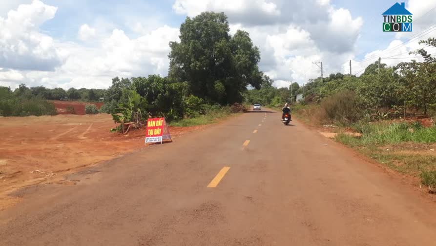 Nhu cầu tìm mua và giao dịch đất nền tại TP.HCM và nhiều địa phương giảm mạnh trong quý 1/2023.