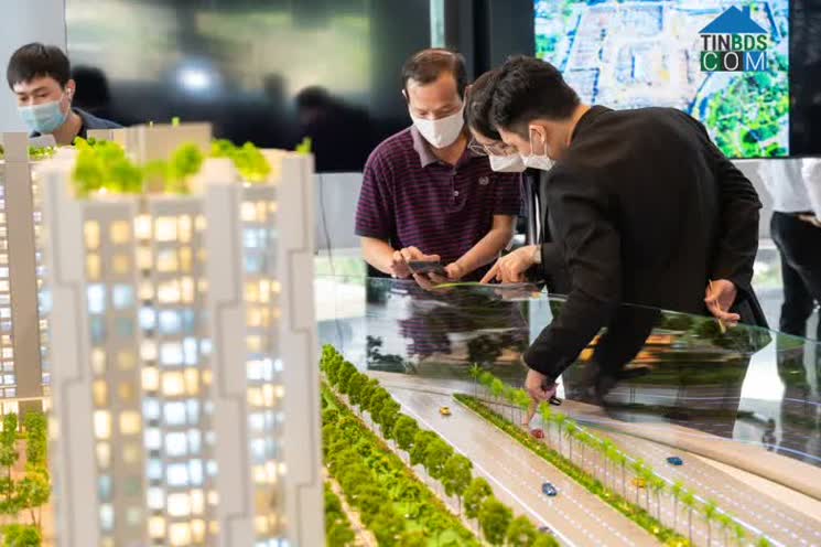 Ảnh Tháng 7, lượt tìm kiếm nhà đất TP.HCM giảm 12-17%