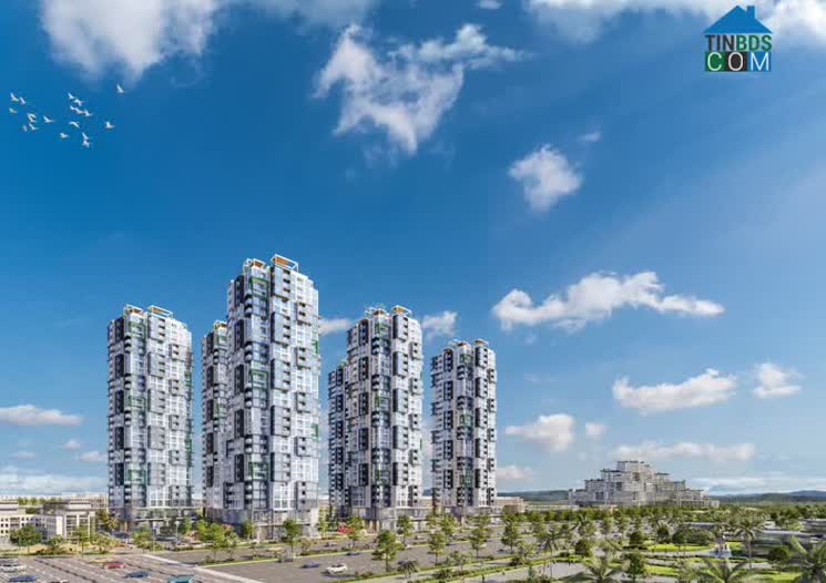 Căn hộ biển Casilla