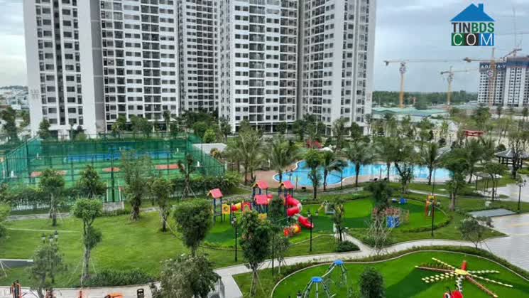 Ảnh Thuê Chung Cư Giá 4 Triệu TPHCM: Tìm Ở Dự Án Nào?