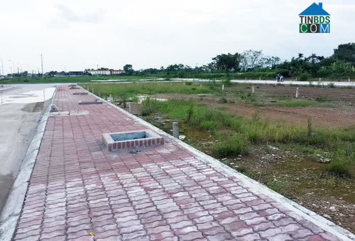 Đất đấu giá vùng ven dồi dào nguồn cung mới cuối năm