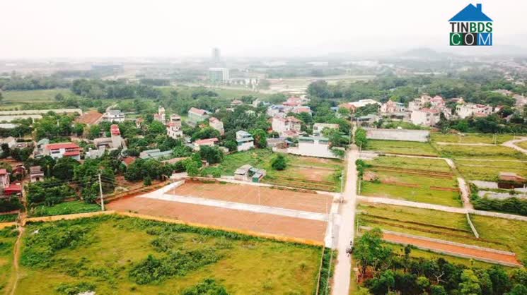 Ảnh Đất Nền Ven Đô (Kì 1): Ảm Đạm Như Mùa Đông Hà Nội