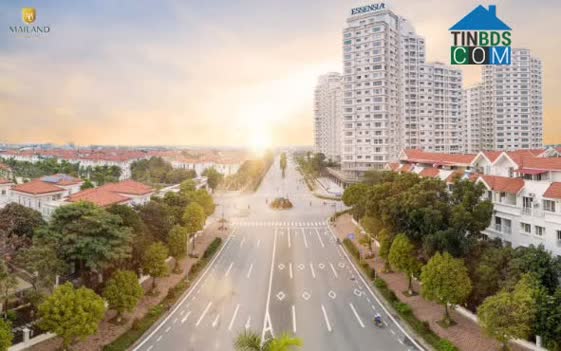 4 toà căn hộ Essensia trong tổng thể sinh thái xanh khổng lồ của khu đô thị Splendora