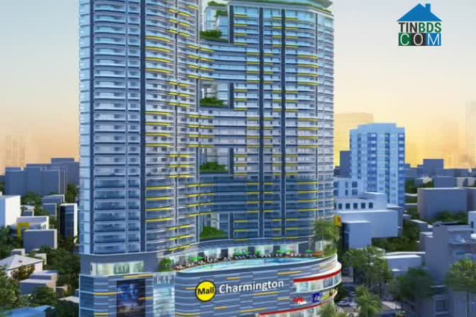 Phối cảnh dự án Charmington Dragonic quận 5