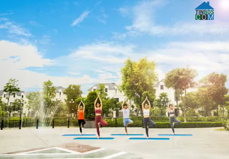 Người mua nhà đang chuyển hướng tìm kiếm và quan tâm nhiều hơn đến không gian xanh
