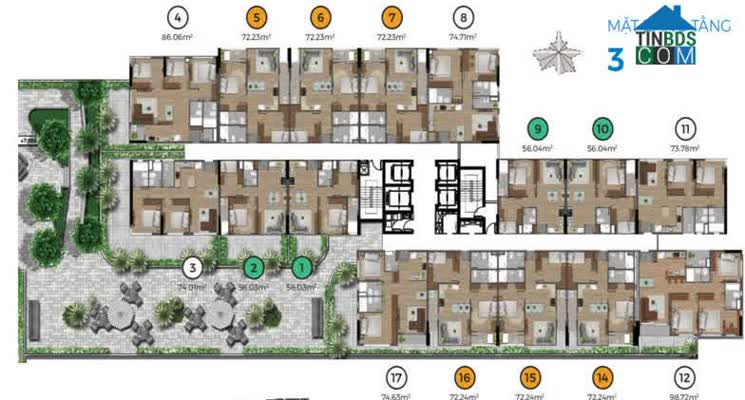 Mặt bằng căn hộ Mizuki Park tòa MP1