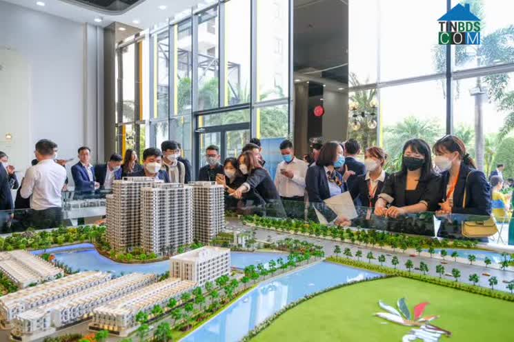 Ảnh Đỏ Mắt Tìm Nguồn Cung Đầu Năm 2023