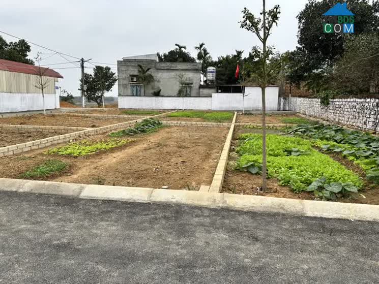 Thị trường đất nền Hoà Lạc đang đón nhiều tín hiệu tích cực sau Tết Nguyên đán?