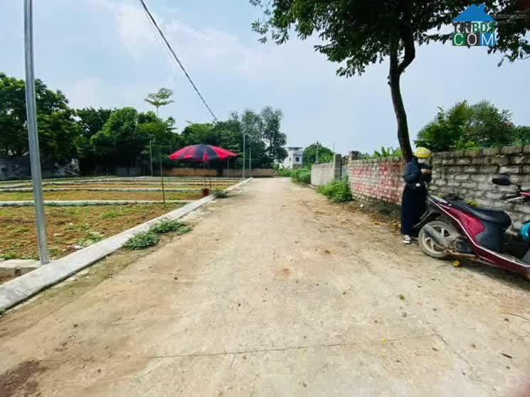 Thị trường đất nền Hoà Lạc vẫn đang thanh khoản khó