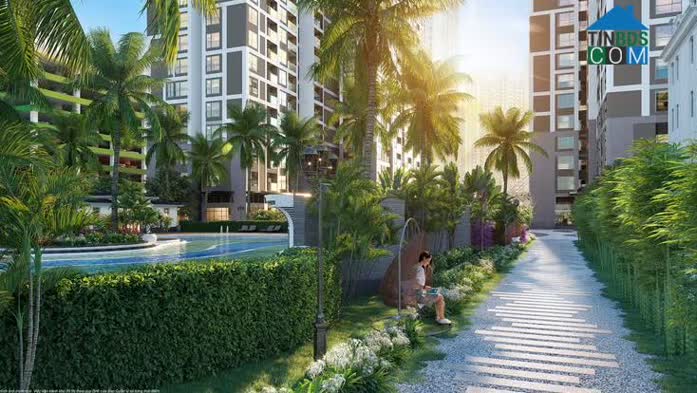Đường dạo Bamboo Path – Nơi cư dân thả hồn trong không gian làng quê Việt truyền thống.