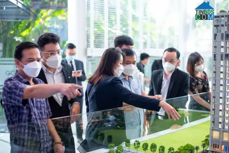 Ảnh TP.HCM: người mua đổ về thị trường thứ cấp săn căn hộ