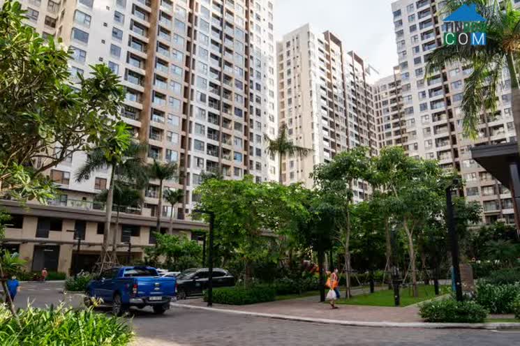 Ảnh Chung Cư Cũ Ở Sài Gòn Hút Khách Trở Lại