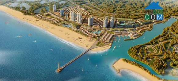 Ảnh Tiềm Lực Tài Chính Lành Mạnh Của In Hòa Phát HTP Với Quỹ Tài Sản Giá Trị Khi Lấn Sân Sang Thị Trường Bất Động Sản