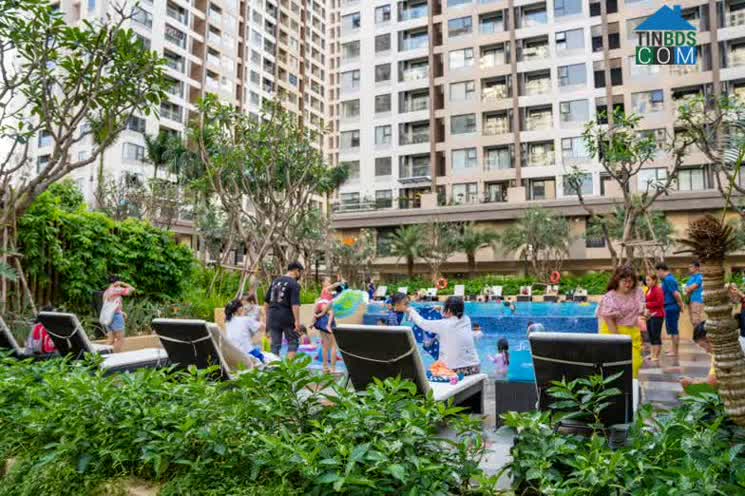 Ảnh Mặt Bằng Giá Chung Cư Quận Bình Tân Tăng Mạnh