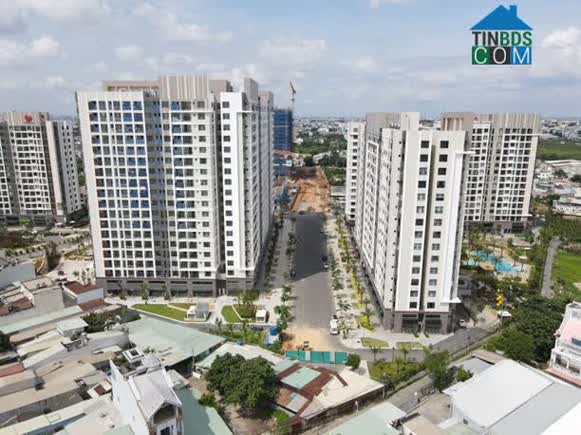 Picity High Park mang theo giá trị thực, khẳng định khả năng tích trữ