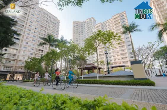 Đông đảo người Hàn Quốc chọn Essensia là chốn an cư lý tưởng