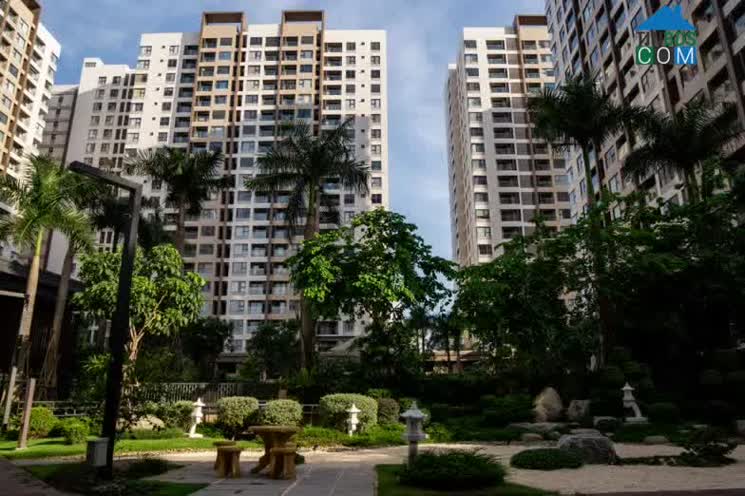 Ảnh Giá Thuê Căn Hộ Chung Cư Tiếp Tục Tăng Mạnh