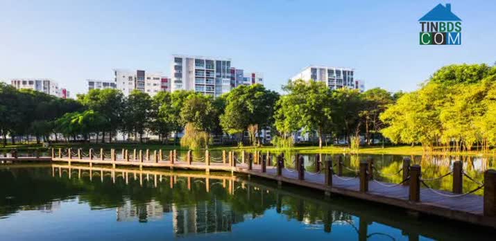Khuôn viên tại dự án Celadon City