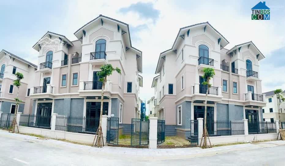 Một số nhà đầu tư trường vốn bắt đầu đi săn hàng