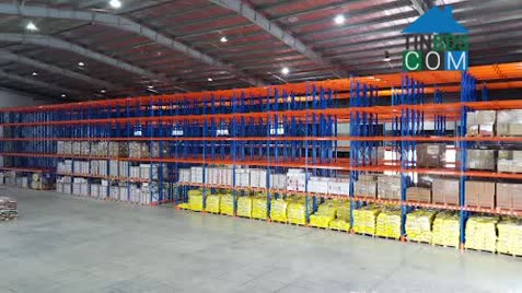 Ảnh Sôi Động Thị Trường Cho Thuê Kho Bãi Tại TP. HCM