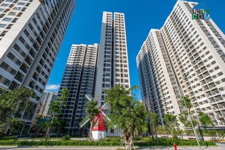 Giá bán căn hộ sơ cấp quá cao khiến người có nhu cầu thực khó với tới được