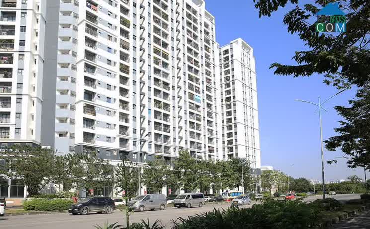 Người mua có nhu cầu thực đang giữ tâm lý chờ đợi những diễn biến tiếp theo của thị trường thời gian tới