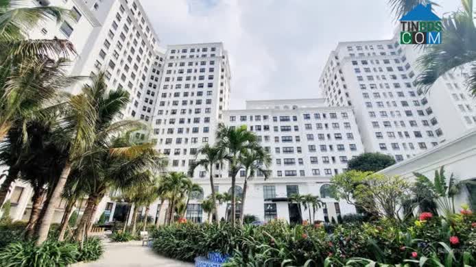 Thị trường chung cư quận Long Biên ngày càng đa dạng hơn về nguồn cung và mức giá. Ảnh minh họa