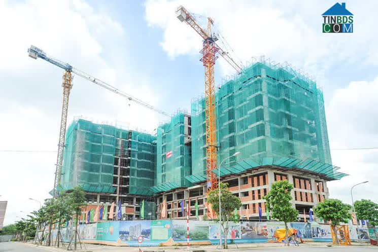 Ảnh Thiếu Ưu Đãi Vay, Làm Sao Để Người Thu Nhập Thấp Mua Được Nhà?