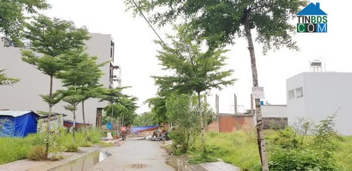 Người mua nhà có phần 