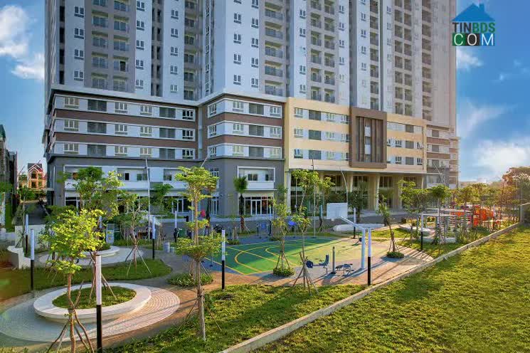 Khuôn viên dự án