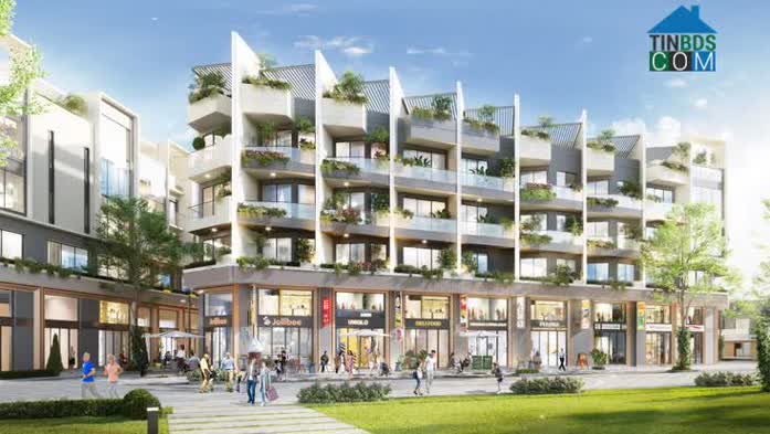 Nhà phố thương mại the Sholi vừa ở vừa kinh doanh và là kênh tích sản mang đến giá trị thật