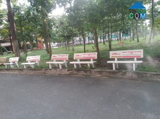 Ảnh Sinh viên ĐH Nông Lâm được trang bị 70 ghế đá mới tài trợ bởi Lê Phong Moving