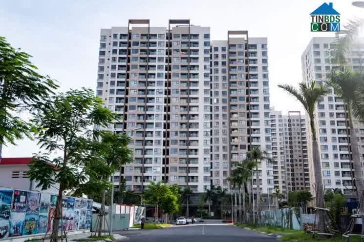 Ảnh Có Nên Đi Vay Để Mua Chung Cư TP.HCM Lúc Này
