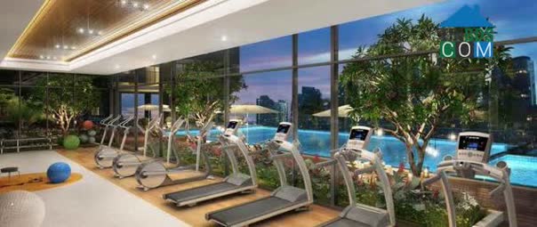 Phòng tập gym nằm ở tầng 3 dự án The Sun Avenue