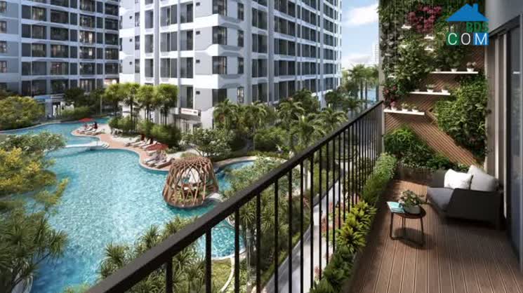 View từ căn hộ nhìn ra bể bơi nội khu
