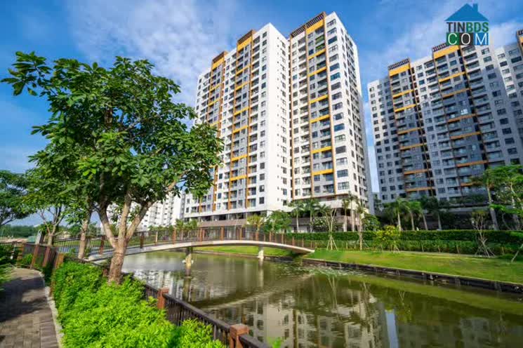 Cây cối, hoa cỏ hay kênh đào trở thành yếu tố chủ đạo tạo nên cảnh quan nhiệt đới.